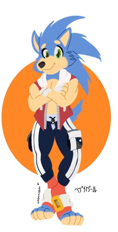 sonic1
