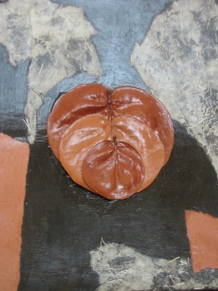 Hawaiian Leaves