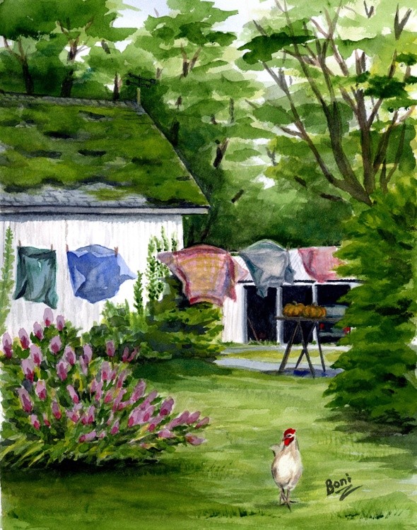 Ty Llwyd Farm on Laundry Day