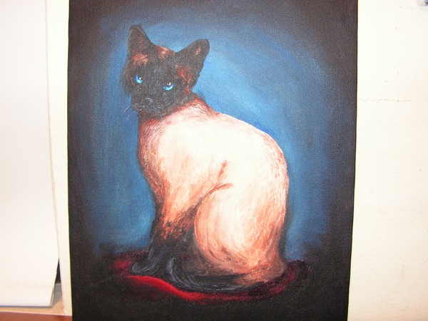 siamese cat