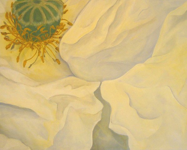 Yellow Petals