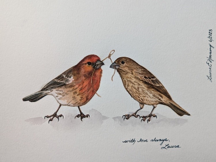 Couple of Finches