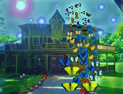 the BUTTERFLY house