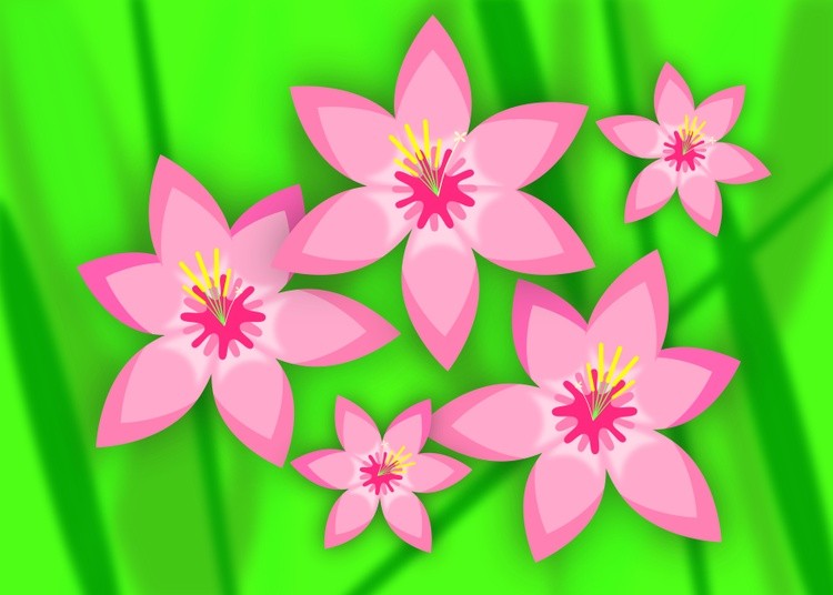 Pink flowers on a blurry green background