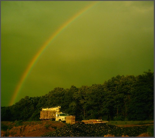 oh, a rainbow!