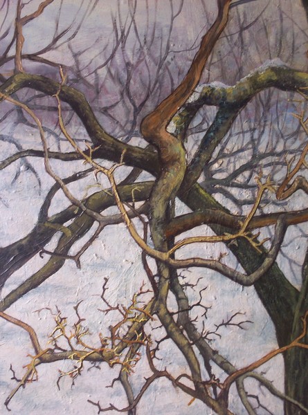 Landscape: Dormant Branches-Winter Morning