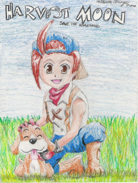 Harvest Moon: Save the Homeland