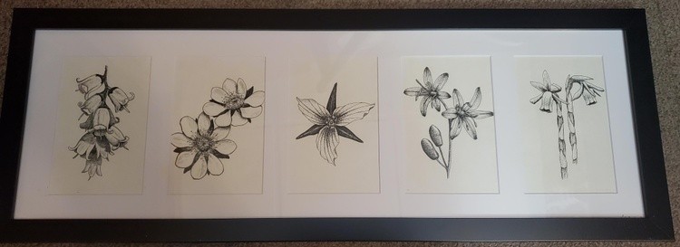 Mountain Flowers