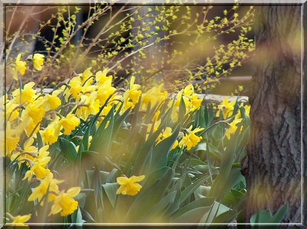 Spring has sprung