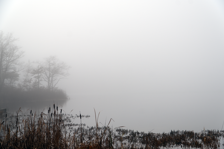 FoggyHightPointSept202302