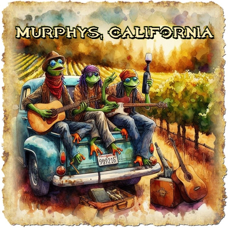 Hippie Frogs playing Music