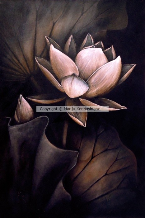 white Lotus