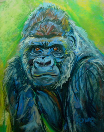 Gorilla