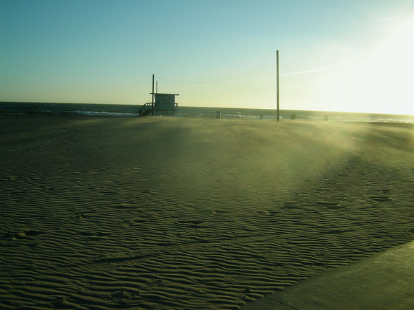 Dust In The Wind