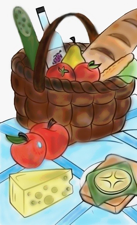 The picnic
