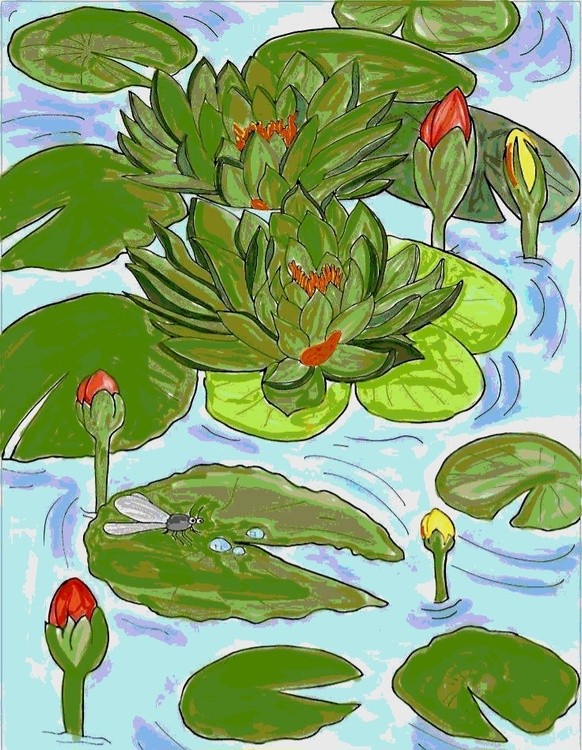 The lotus