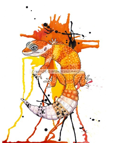 Hypo