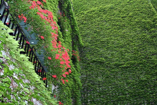 Climbing the Wall