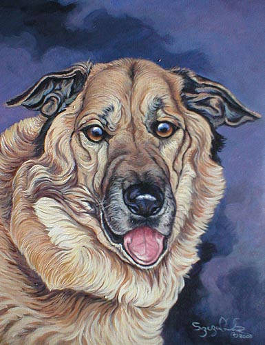 Tucker
