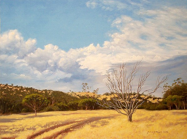 Landscape Near Toodyay
