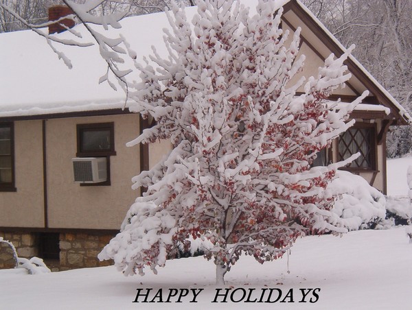 Happy Holidayz