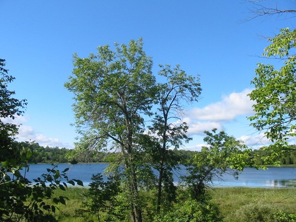 Photograph ~ A summer's drive