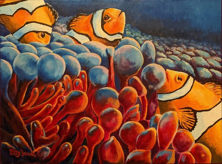 Reef Life  