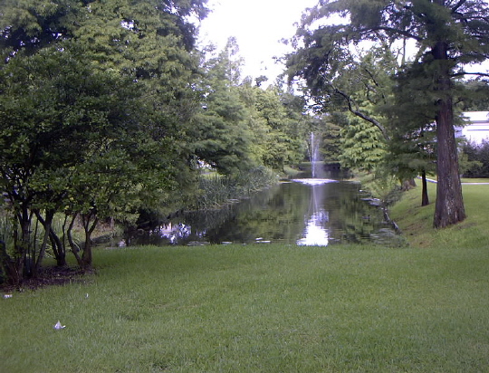 Fountain