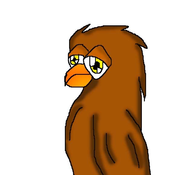 Stupid Look