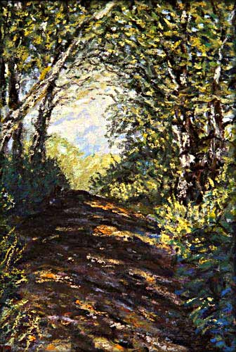  Light Filtering Through The Trees