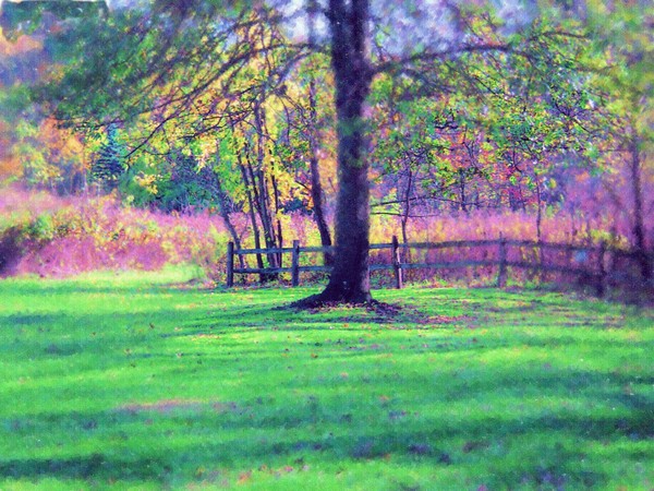 The Long Meadow