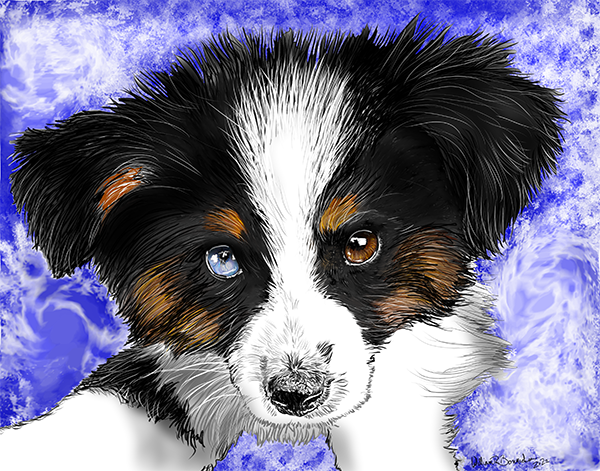 Barbs Puppy