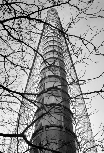 Flatiron Through Trees
