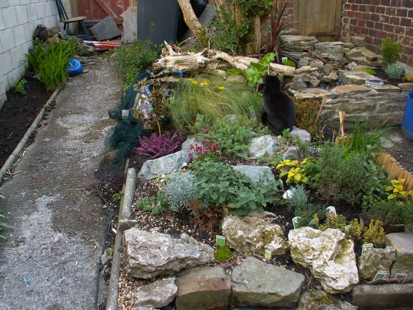 The Garden