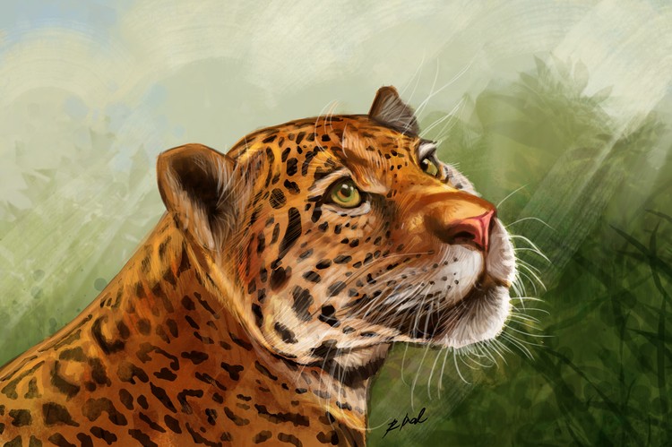 Jaguar