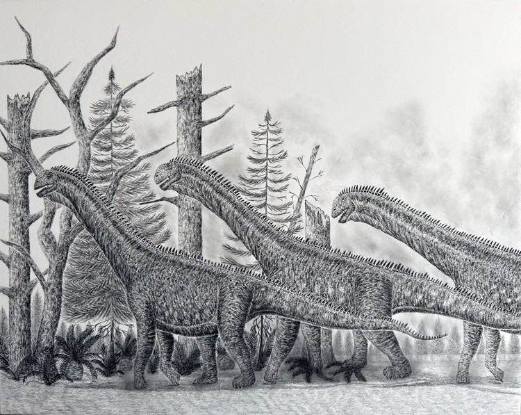 A Camarasaurus Migration 
