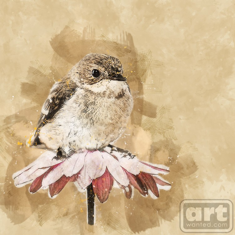 little brown bird  