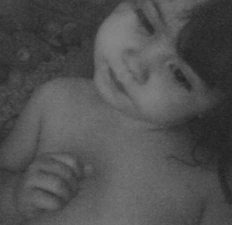 Amethyst Moon 1 1/2 yrs Old