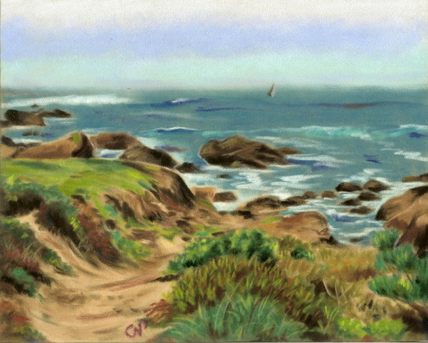 Foggy Asilomar Morning