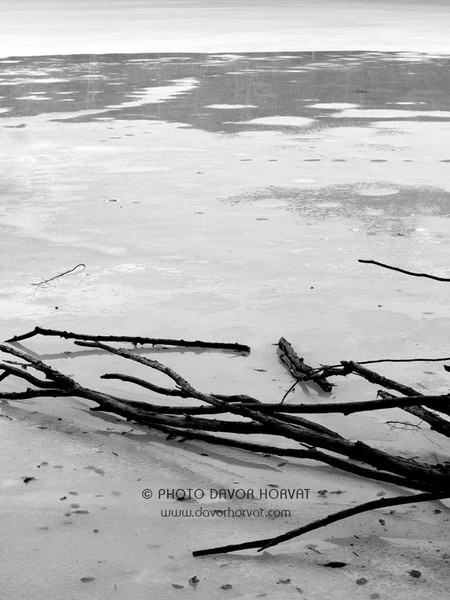 Abstract No2