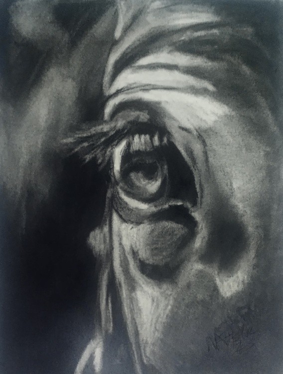 Equine Eye