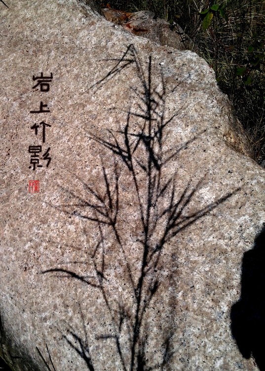 Shadow of Reeds on Rock
