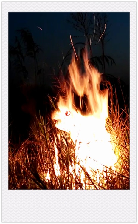 Fire Ghost