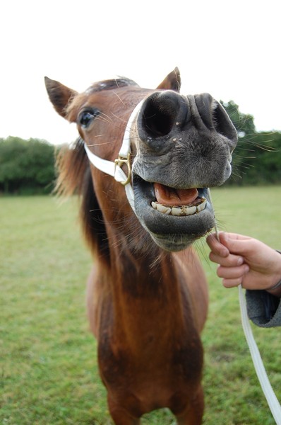 Smile please