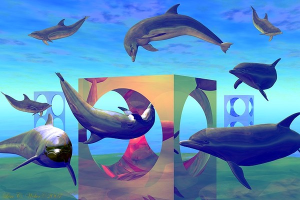 Dolpherian Playground 2