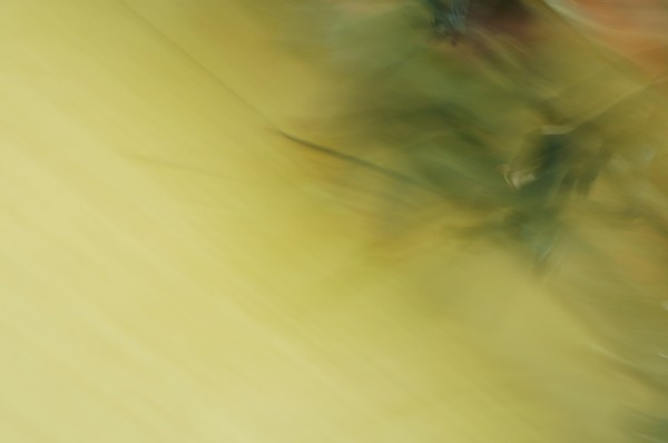 Abstract Golden Green Background