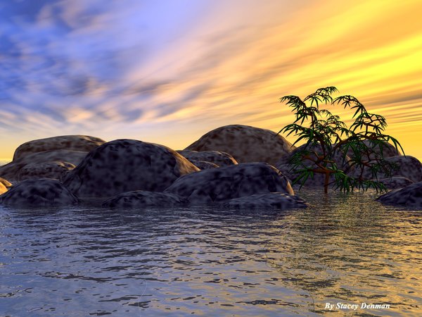 Canna Island