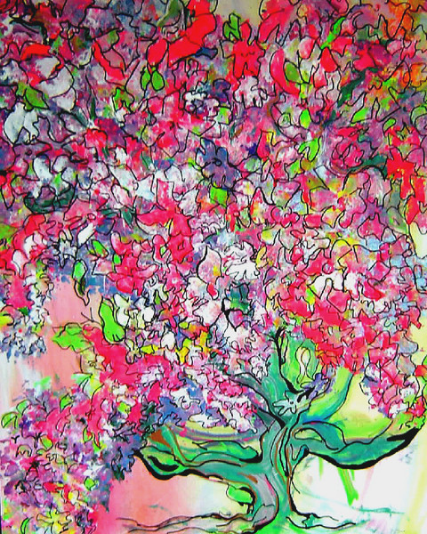 Colors