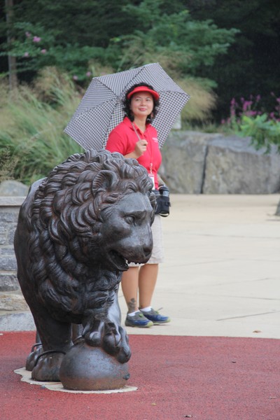 The Lion's Share