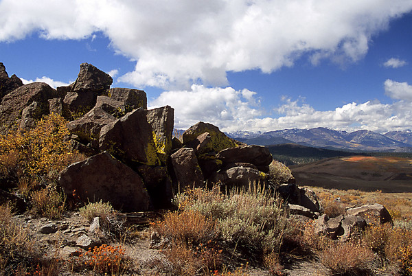Autumn Colors and Rock Outcrop